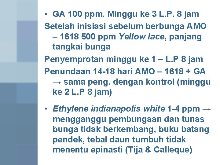  • GA 100 ppm. Minggu ke 3 L. P. 8 jam Setelah inisiasi