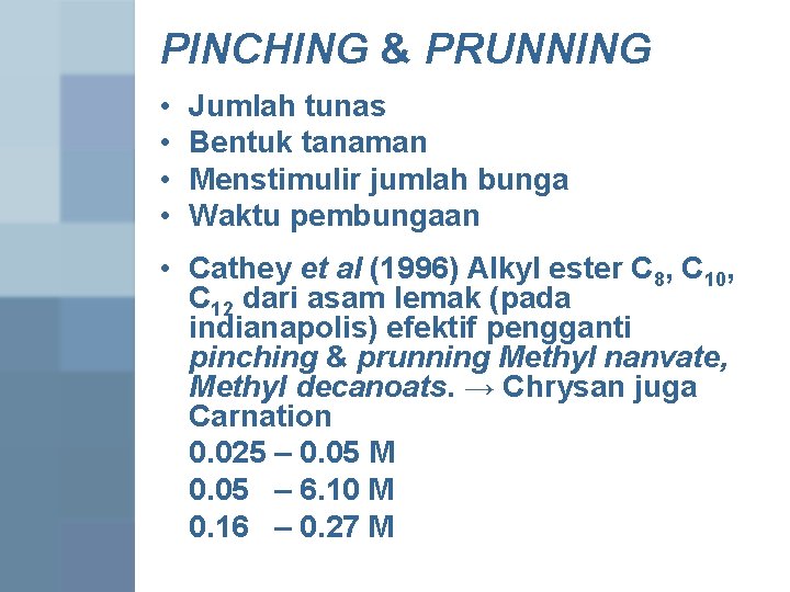 PINCHING & PRUNNING • • Jumlah tunas Bentuk tanaman Menstimulir jumlah bunga Waktu pembungaan