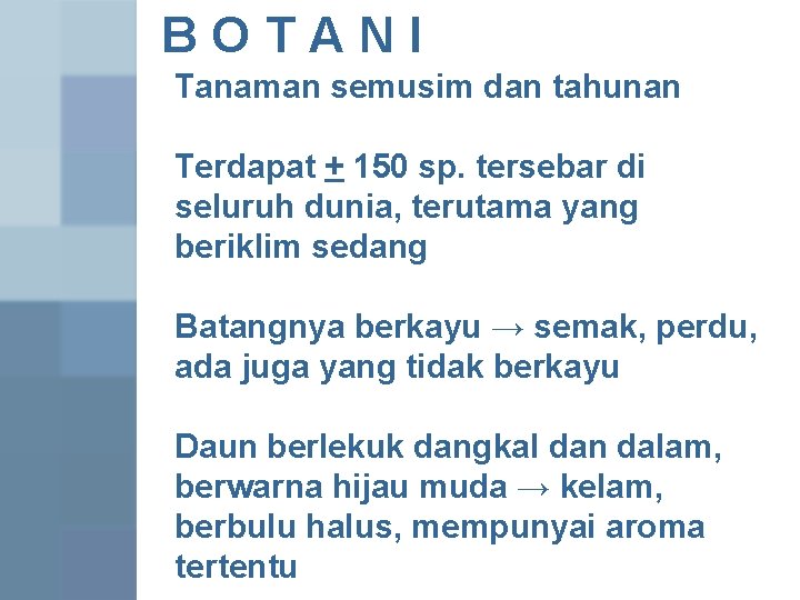 BOTANI Tanaman semusim dan tahunan Terdapat + 150 sp. tersebar di seluruh dunia, terutama