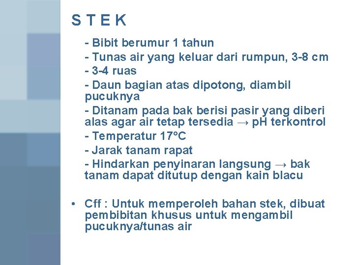 STEK - Bibit berumur 1 tahun - Tunas air yang keluar dari rumpun, 3