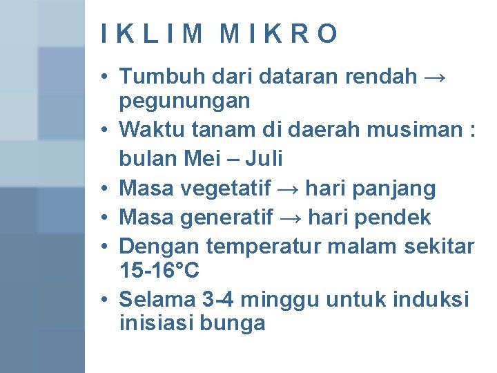 IKLIM MIKRO • Tumbuh dari dataran rendah → pegunungan • Waktu tanam di daerah