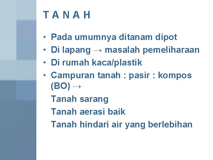 TANAH • • Pada umumnya ditanam dipot Di lapang → masalah pemeliharaan Di rumah