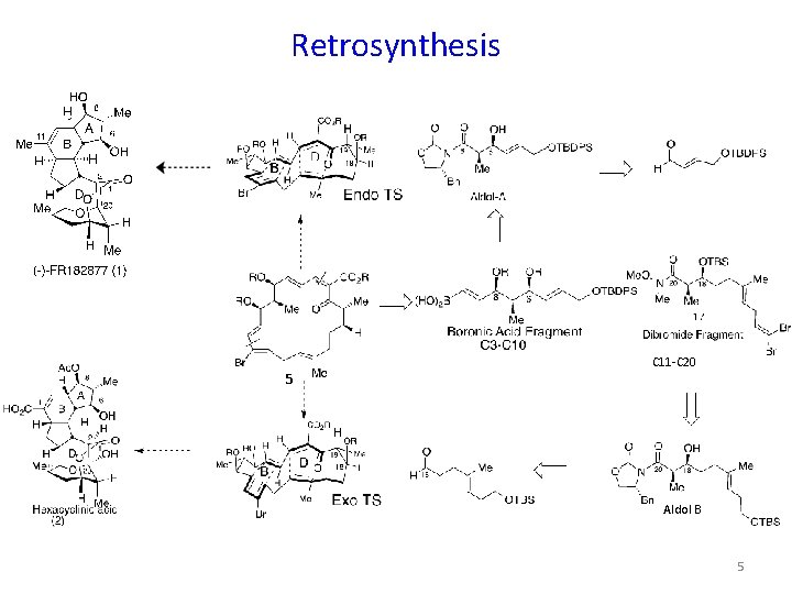 Retrosynthesis 5 C 11 -C 20 Aldol B 5 