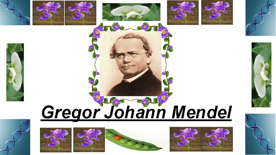 Gregor Johann Mendel 