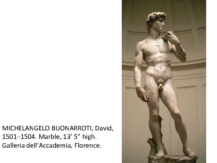 MICHELANGELO BUONARROTI, David, 1501– 1504. Marble, 13’ 5” high. Galleria dell’Accademia, Florence. 