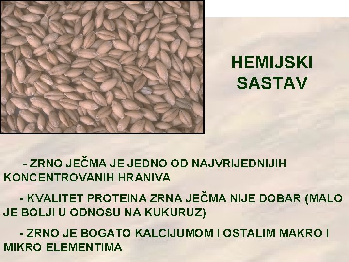 HEMIJSKI SASTAV - ZRNO JEČMA JE JEDNO OD NAJVRIJEDNIJIH KONCENTROVANIH HRANIVA - KVALITET PROTEINA