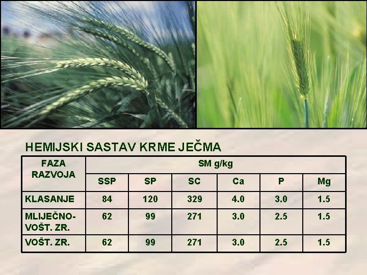 HEMIJSKI SASTAV KRME JEČMA FAZA RAZVOJA SM g/kg SSP SP SC Ca P Mg