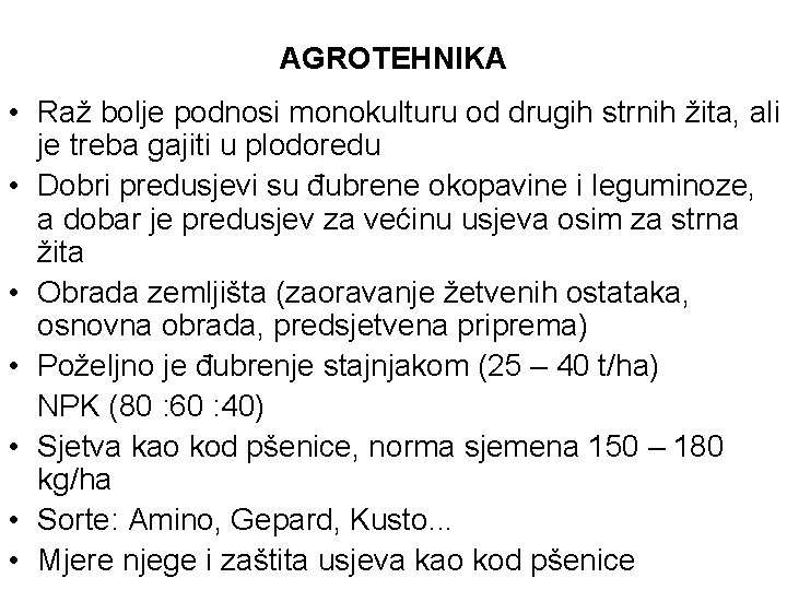 AGROTEHNIKA • Raž bolje podnosi monokulturu od drugih strnih žita, ali je treba gajiti