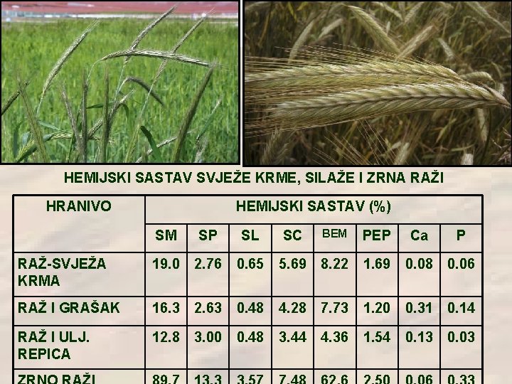 HEMIJSKI SASTAV SVJEŽE KRME, SILAŽE I ZRNA RAŽI HRANIVO HEMIJSKI SASTAV (%) SM SP