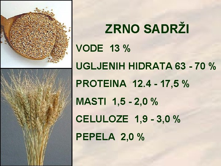 ZRNO SADRŽI VODE 13 % UGLJENIH HIDRATA 63 - 70 % PROTEINA 12. 4