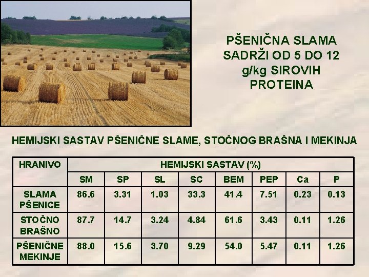 PŠENIČNA SLAMA SADRŽI OD 5 DO 12 g/kg SIROVIH PROTEINA HEMIJSKI SASTAV PŠENIČNE SLAME,