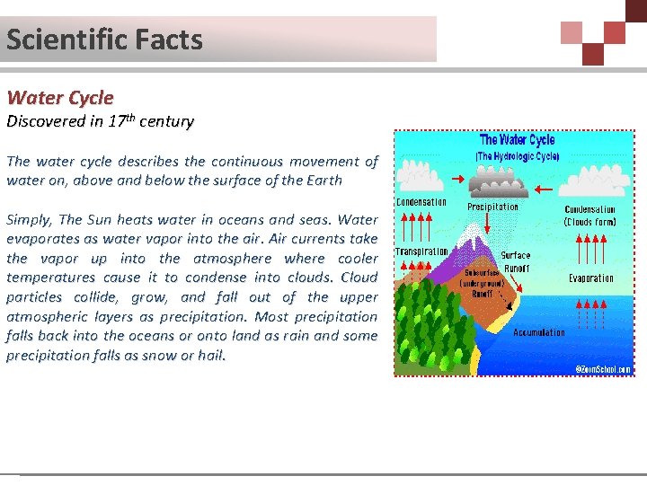 Scientific Facts Water Cycle Discovered in 17 th century The water cycle describes the