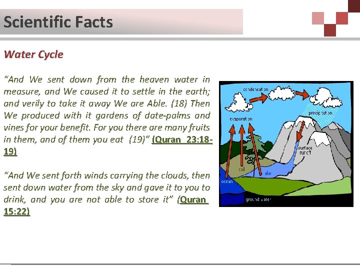 Scientific Facts Water Cycle “And We sent down from the heaven water in measure,