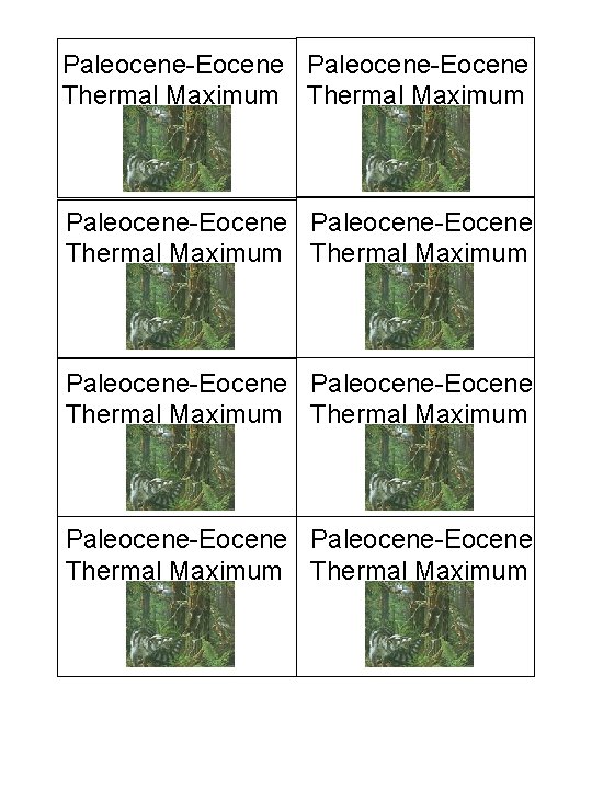 Paleocene-Eocene Paleocene-Eocene Thermal Maximum Thermal Maximum 