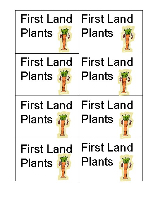 First Land First Land Plants Plants 