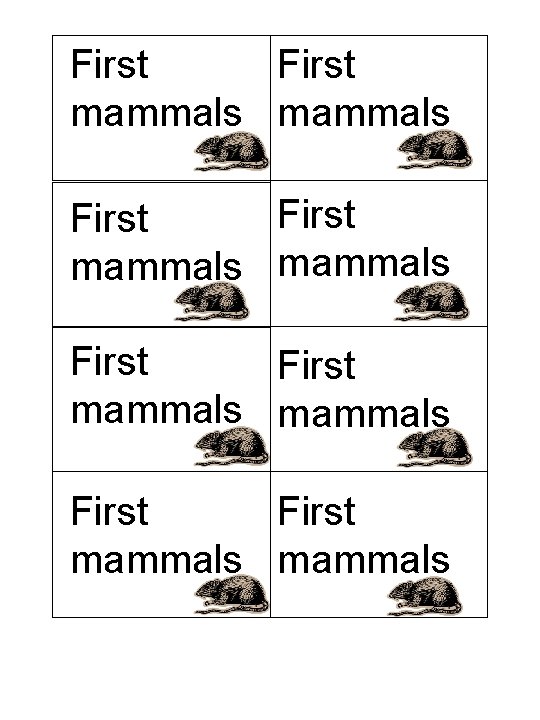 First First mammals mammals 