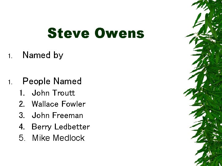 Steve Owens 1. Named by 1. People Named 1. 2. 3. 4. 5. John