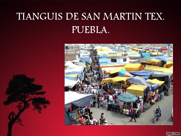 TIANGUIS DE SAN MARTIN TEX. PUEBLA. 