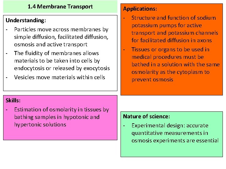 1. 4 Membrane Transport Understanding: - Particles move across membranes by simple diffusion, facilitated