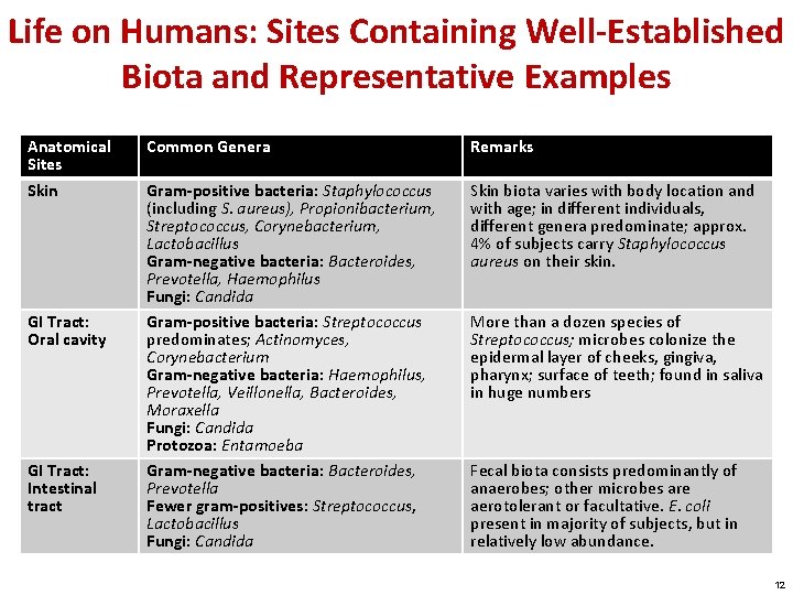 Life on Humans: Sites Containing Well-Established Biota and Representative Examples Anatomical Sites Skin GI