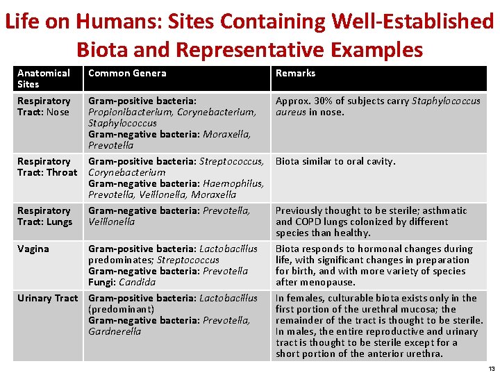 Life on Humans: Sites Containing Well-Established Biota and Representative Examples Anatomical Sites Respiratory Tract: