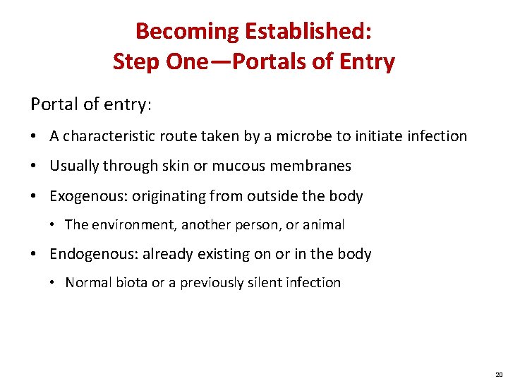 Becoming Established: Step One—Portals of Entry Portal of entry: • A characteristic route taken