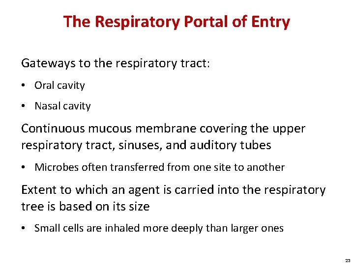 The Respiratory Portal of Entry Gateways to the respiratory tract: • Oral cavity •