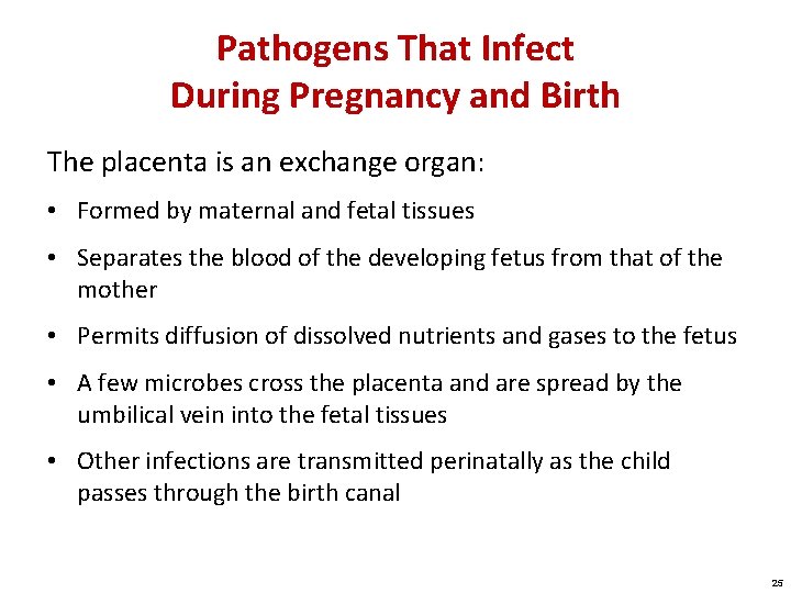 Pathogens That Infect During Pregnancy and Birth The placenta is an exchange organ: •