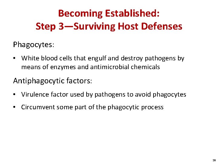 Becoming Established: Step 3—Surviving Host Defenses Phagocytes: • White blood cells that engulf and