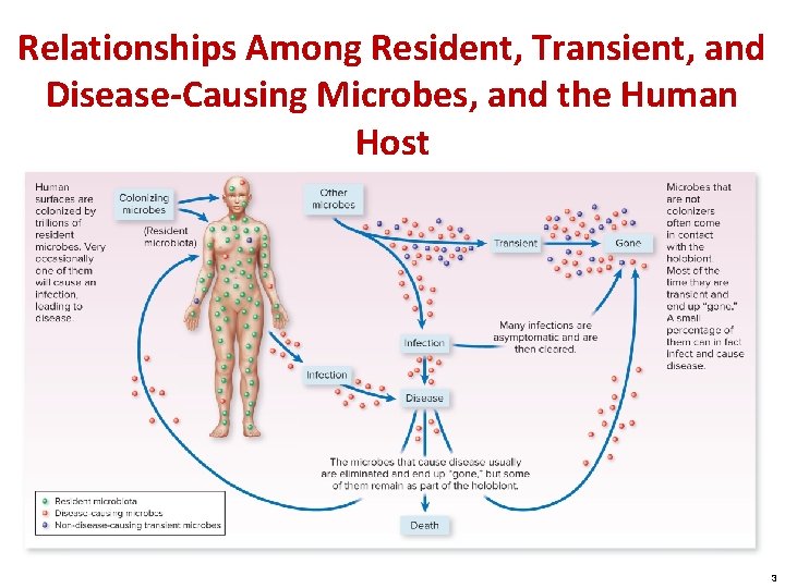 Relationships Among Resident, Transient, and Disease-Causing Microbes, and the Human Host 3 