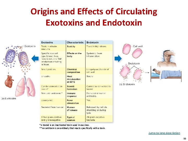 Origins and Effects of Circulating Exotoxins and Endotoxin *A toxoid is an inactivated toxin