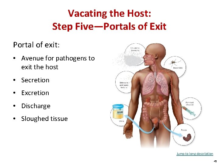 Vacating the Host: Step Five—Portals of Exit Portal of exit: • Avenue for pathogens