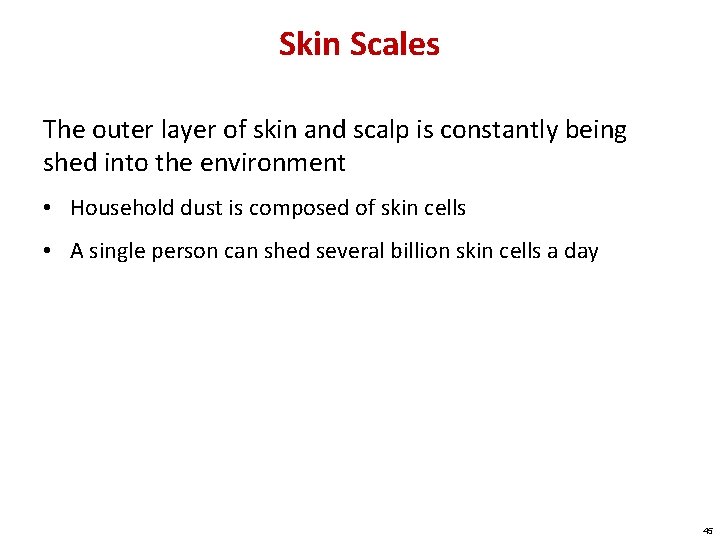 Skin Scales The outer layer of skin and scalp is constantly being shed into