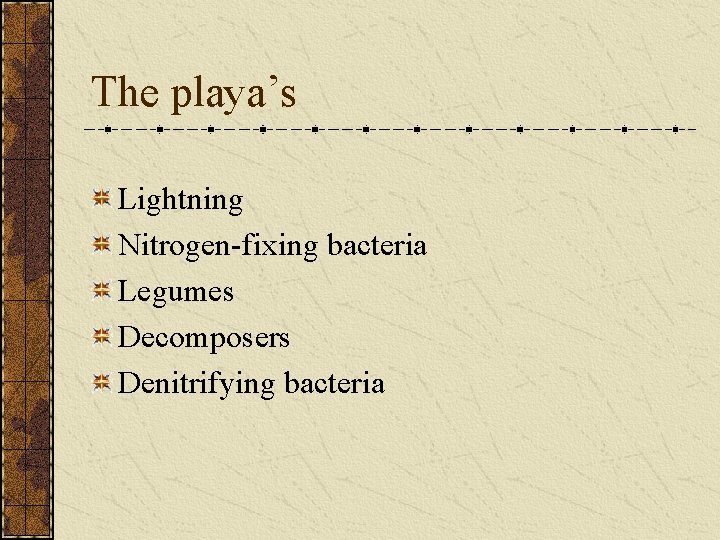 The playa’s Lightning Nitrogen-fixing bacteria Legumes Decomposers Denitrifying bacteria 
