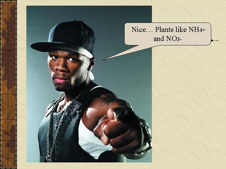 Nice… Plants like NH 4+ and NO 3 - 