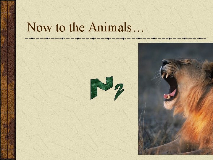 Now to the Animals… 