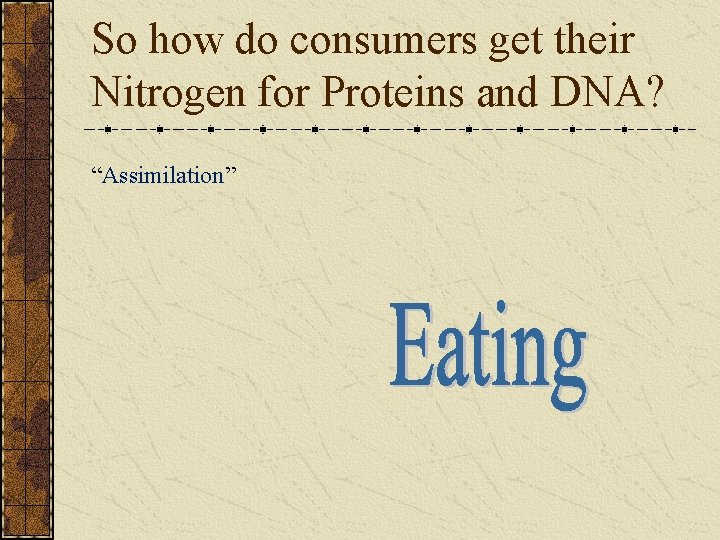 So how do consumers get their Nitrogen for Proteins and DNA? “Assimilation” 