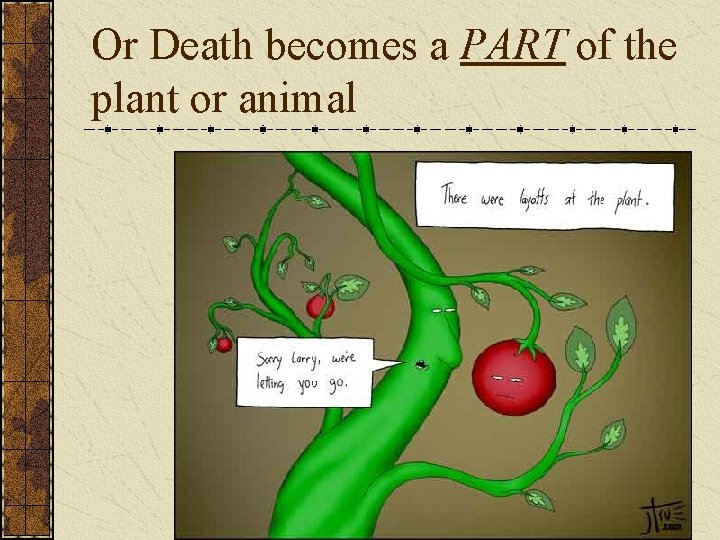 Or Death becomes a PART of the plant or animal 