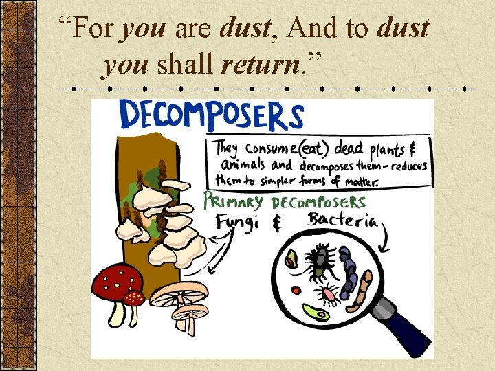 “For you are dust, And to dust you shall return. ” 