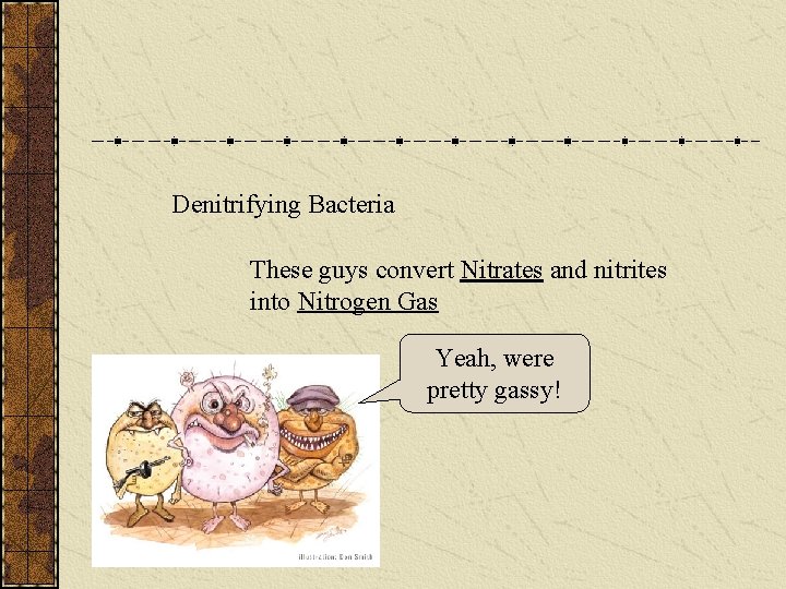 Denitrifying Bacteria These guys convert Nitrates and nitrites into Nitrogen Gas Yeah, were pretty