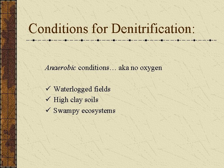 Conditions for Denitrification: Anaerobic conditions… aka no oxygen ü Waterlogged fields ü High clay