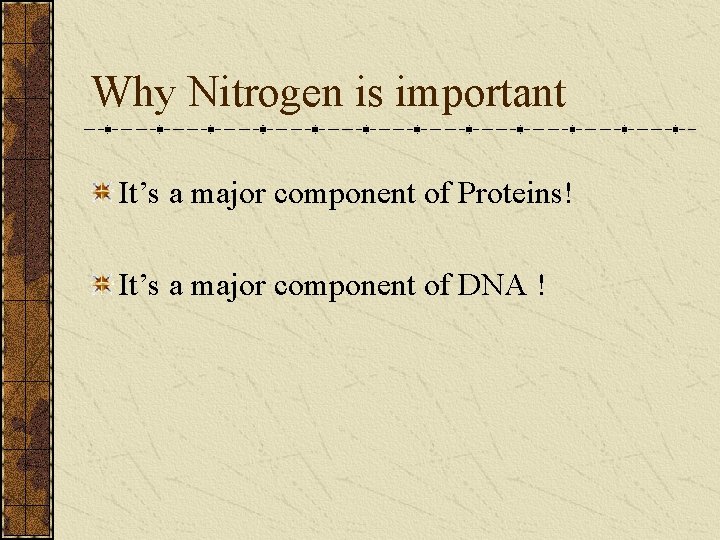 Why Nitrogen is important It’s a major component of Proteins! It’s a major component