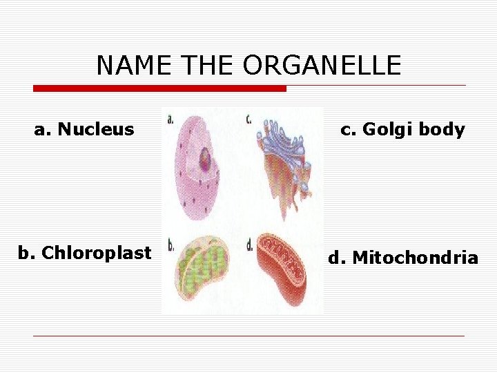 NAME THE ORGANELLE a. Nucleus c. Golgi body b. Chloroplast d. Mitochondria 