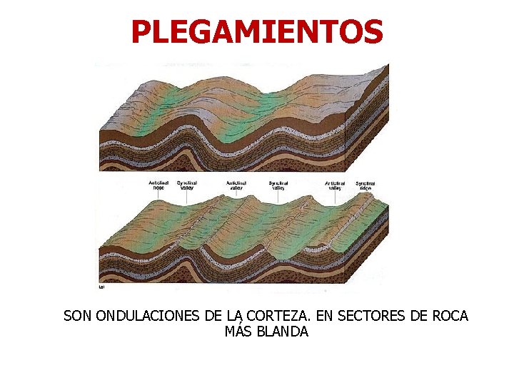 PLEGAMIENTOS SON ONDULACIONES DE LA CORTEZA. EN SECTORES DE ROCA MÁS BLANDA 