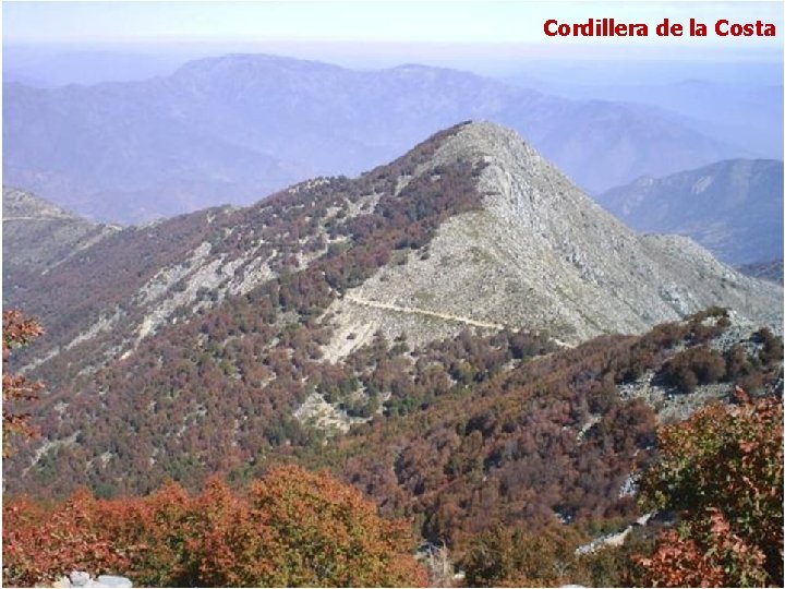 Cordillera de la Costa 