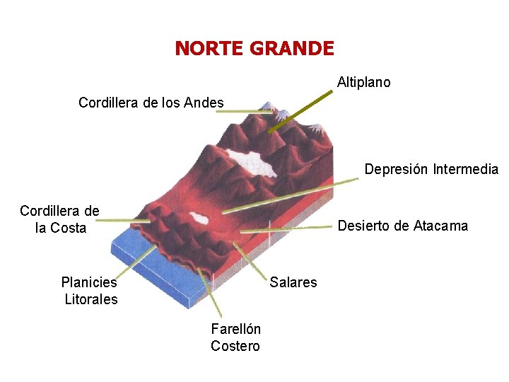 NORTE GRANDE Altiplano Cordillera de los Andes Depresión Intermedia Cordillera de la Costa Desierto