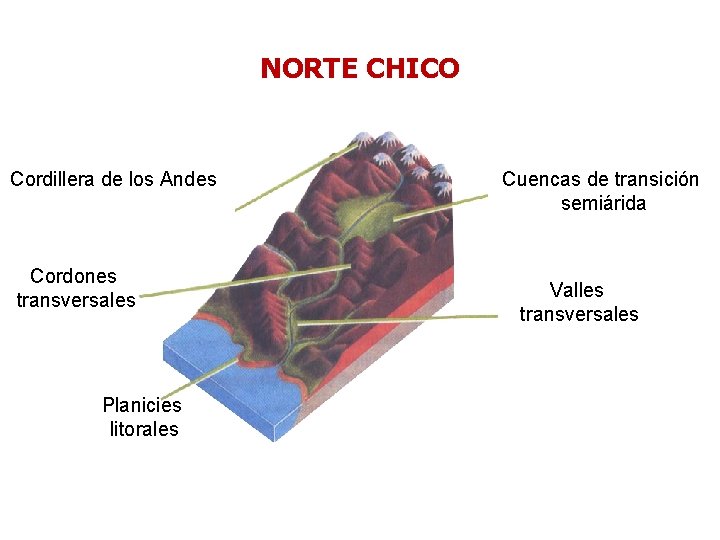 NORTE CHICO Cordillera de los Andes Cordones transversales Planicies litorales Cuencas de transición semiárida