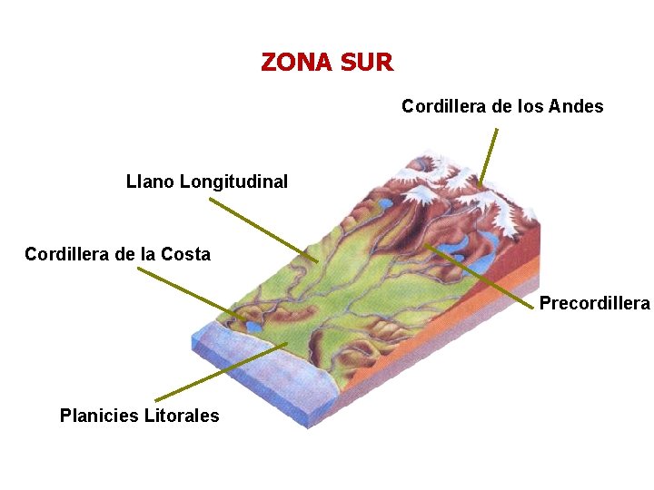 ZONA SUR Cordillera de los Andes Llano Longitudinal Cordillera de la Costa Precordillera Planicies