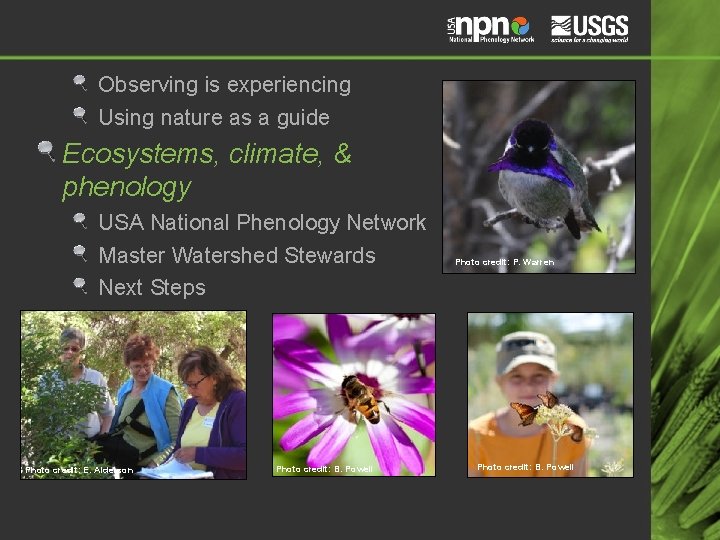 Observing is experiencing Using nature as a guide Ecosystems, climate, & phenology USA National