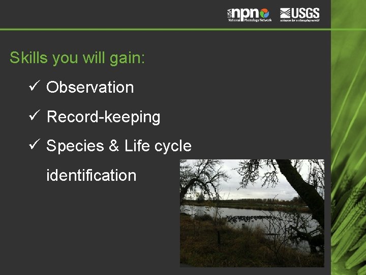 Skills you will gain: ü Observation ü Record-keeping ü Species & Life cycle identification